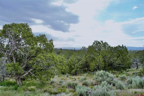 Lot 2 Road 24.3 Cortez CO 81321