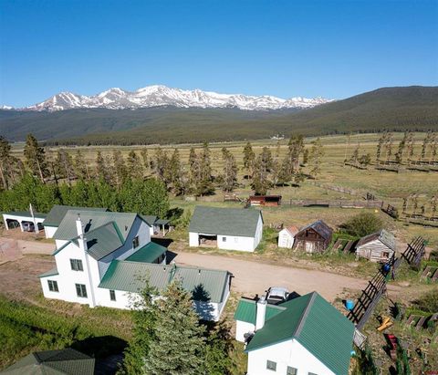 875 County Road 300 Leadville CO 80461