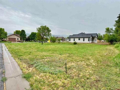 Photo of 855 SE Pinyon Street, Cedaredge, CO 81413 (MLS # 832426)