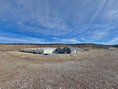 Photo of 16267 Shavano Valley Road, Montrose, CO 81403 (MLS # 831908)