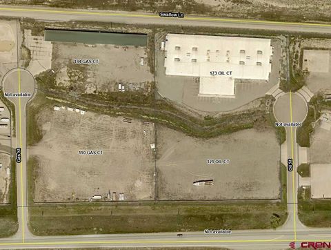 173 Oil Court Rifle CO 81650