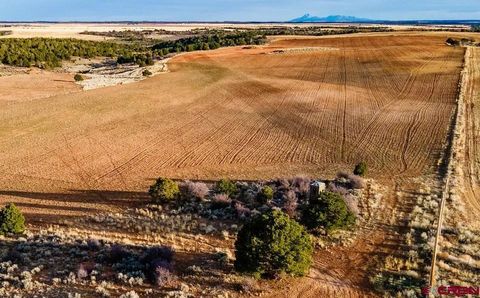 tbd CR 6HS Egnar CO 81325