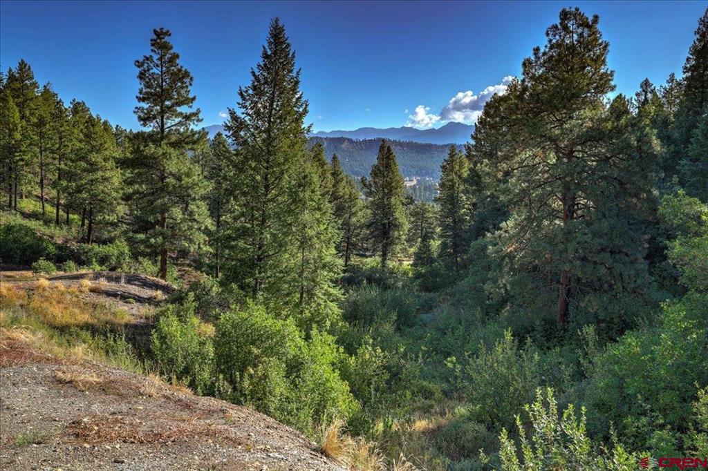 531 Whispering Wood Drive