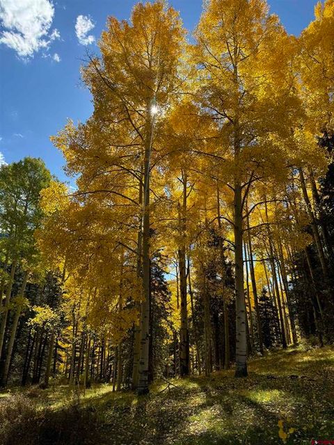 Property photo of 15050 145 Highway, Rico, CO 81332