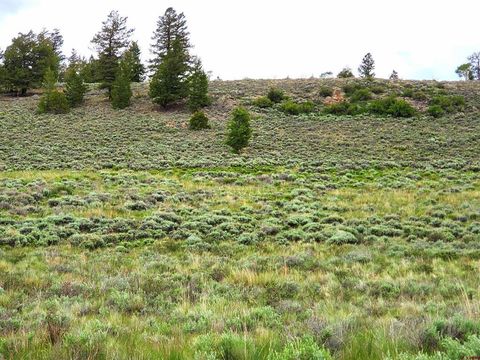 Photo of 273 Schofield Trail, Powderhorn, CO 81243 (MLS # 833271)