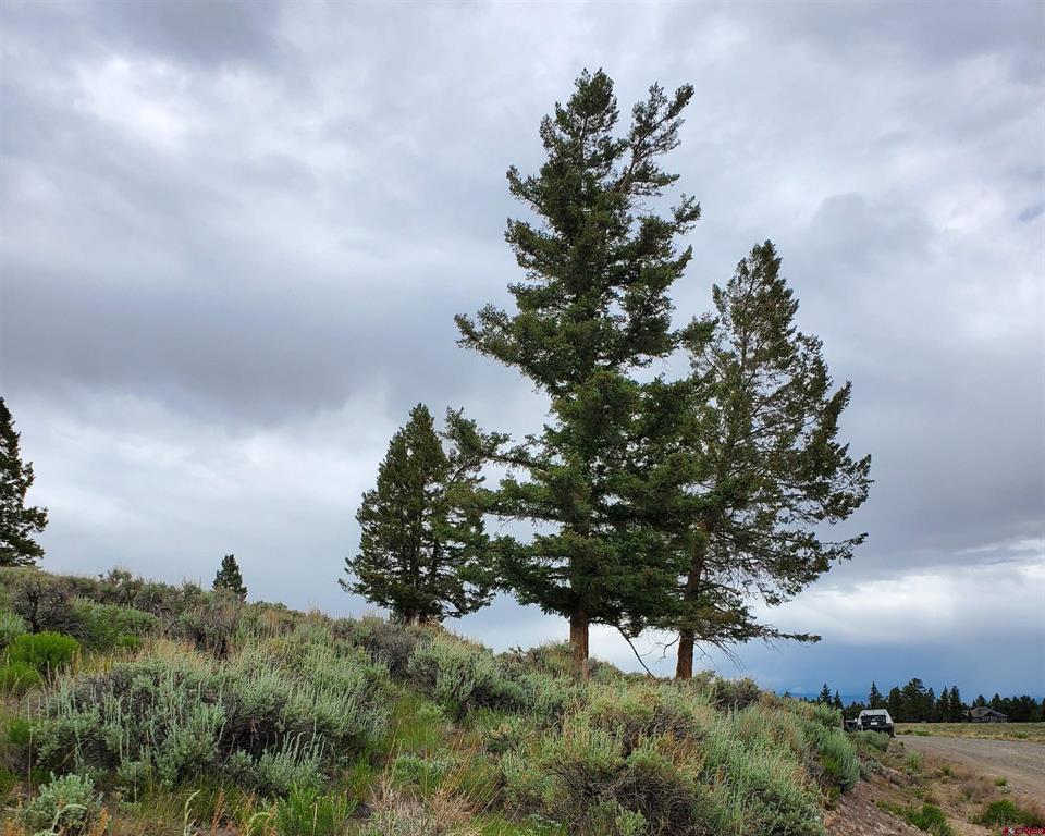 273 Schofield Trail