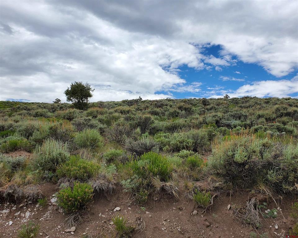 273 Schofield Trail