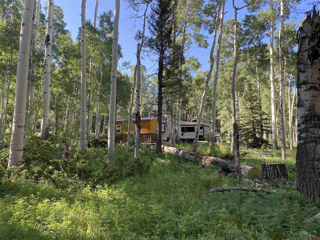 485 Ponderosa Way