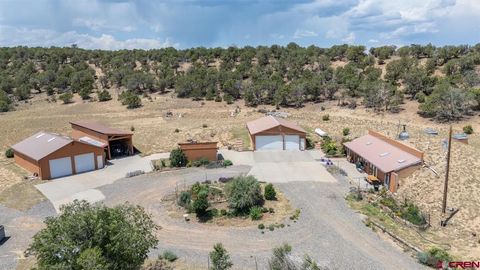 Photo of 235 Cactus Place, Montrose, CO 81403 (MLS # 832055)