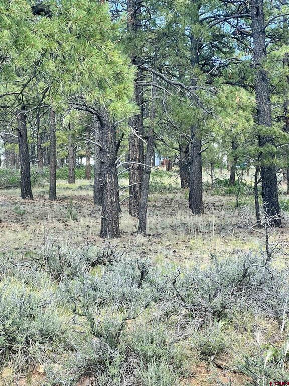 Photo 1 of 8 — 1627 West View Road, Pagosa Springs, CO 81147