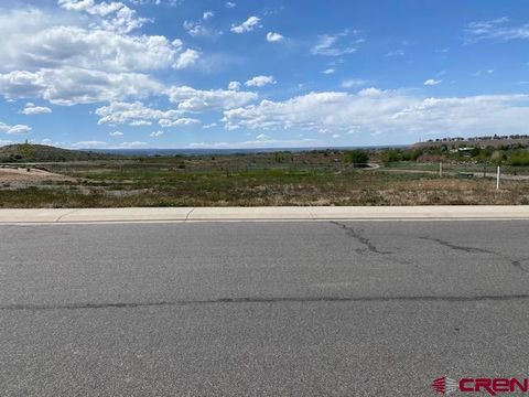 Photo of TBD Ridgeline Drive, Montrose, CO 81401 (MLS # 833864)