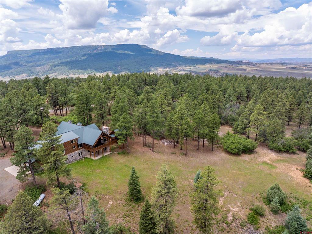 473 N Black Bear Place