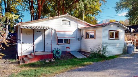 1111 2nd Street Paonia CO 81428