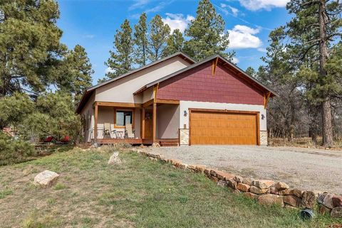 44 S Driver Court Pagosa Springs CO 81147