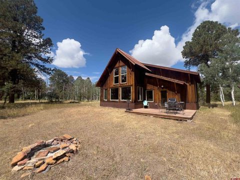 150 W Piney Woods Way Placerville CO 81430