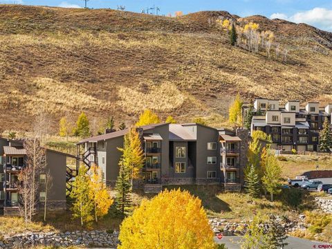 651 Gothic Road 502 Mt. Crested Butte CO 81225