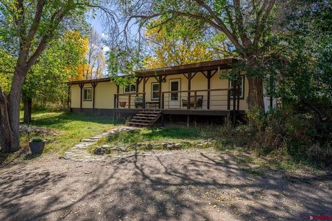 8393 Road 41 Mancos CO 81328