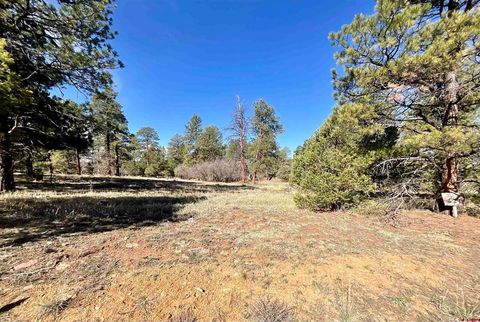 Photo of TBD S Badger Trail, Ridgway, CO 81432 (MLS # 827597)