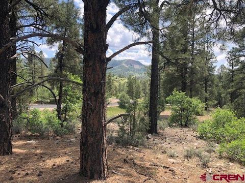 596 Ginger Circle Pagosa Springs CO 81147