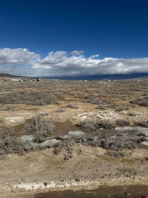 57755 Betty Lee Drive Moffat CO 81143