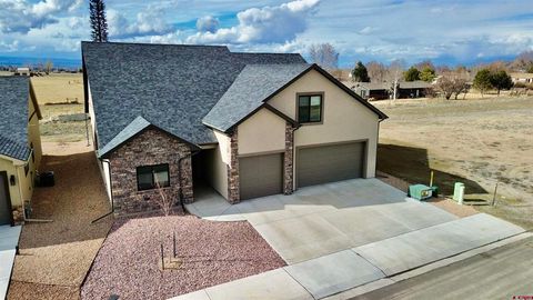 Photo of 3305 Peregrine Loop, Montrose, CO 81401 (MLS # 831655)