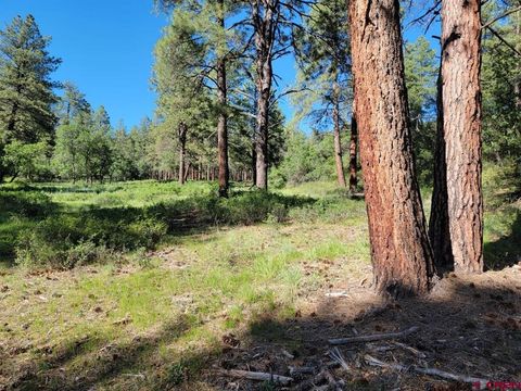 X Catchpole Drive Pagosa Springs CO 81147