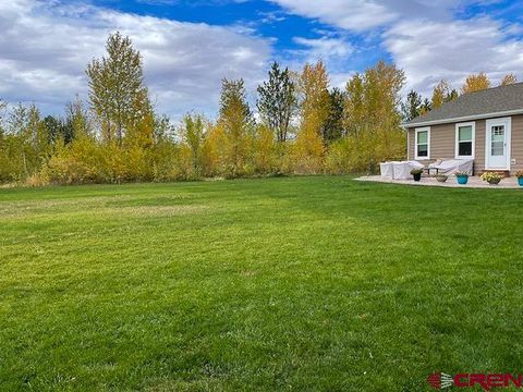 55339 Begonia Road Olathe CO 81425