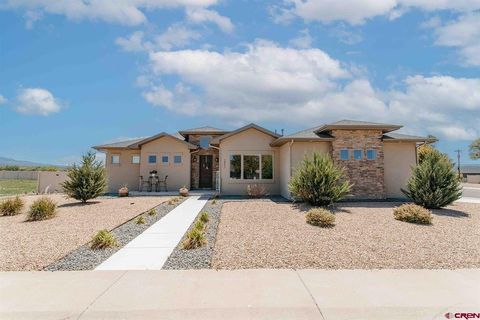 Photo of 2802 Benchmark Lane, Montrose, CO 81401 (MLS # 834663)