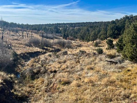 000 Akati Gulch Road Majestic Elk Ranch 960 Hesperus CO 81326