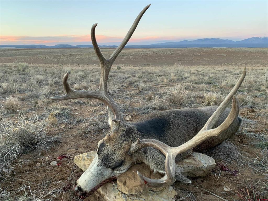 000 Akati Gulch Road Majestic Elk Ranch 960