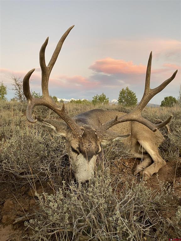 000 Akati Gulch Road Majestic Elk Ranch 960