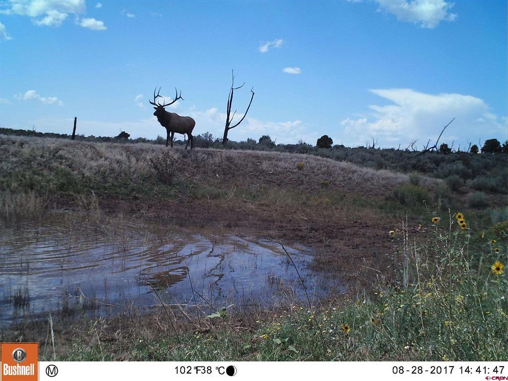 000 Akati Gulch Road Majestic Elk Ranch 960