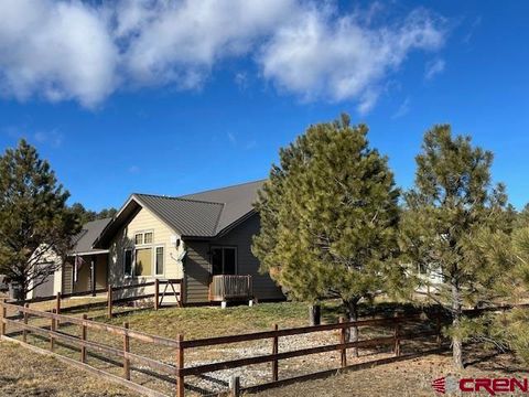 379 Hidden Drive Pagosa Springs CO 81147