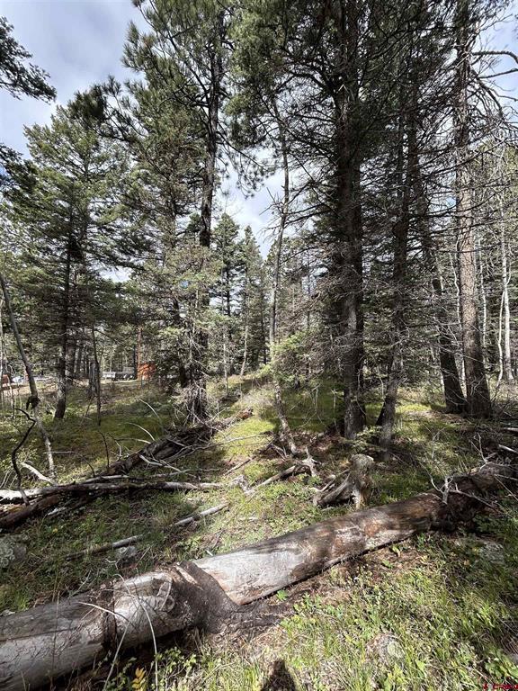 112 Sierra Verde Drive