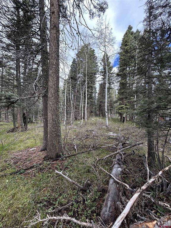 112 Sierra Verde Drive