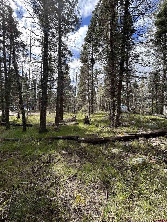 112 Sierra Verde Drive