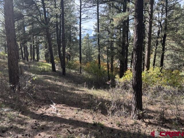 510 Alpine Forest Drive