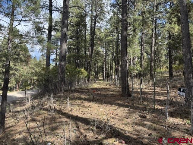 510 Alpine Forest Drive