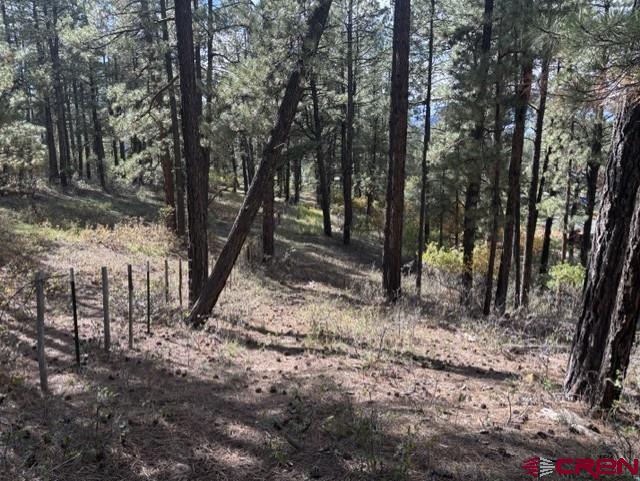 510 Alpine Forest Drive