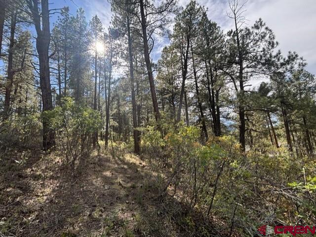 510 Alpine Forest Drive