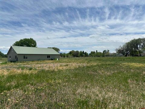 Photo of 16674 6300 Road, Montrose, CO 81403 (MLS # 834942)