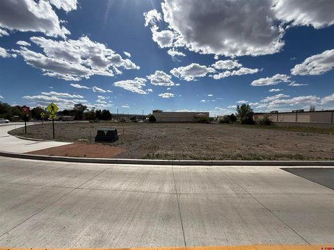 Photo of 1595 E Oak Grove Road, Montrose, CO 81401 (MLS # 834997)