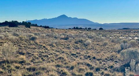 TBD Road 26.4 Lot 9 Dolores CO 81328