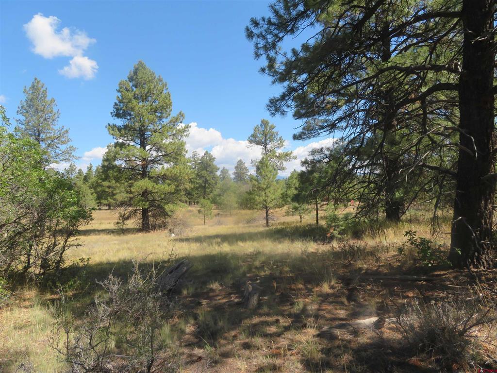 100 N Pinescent Court