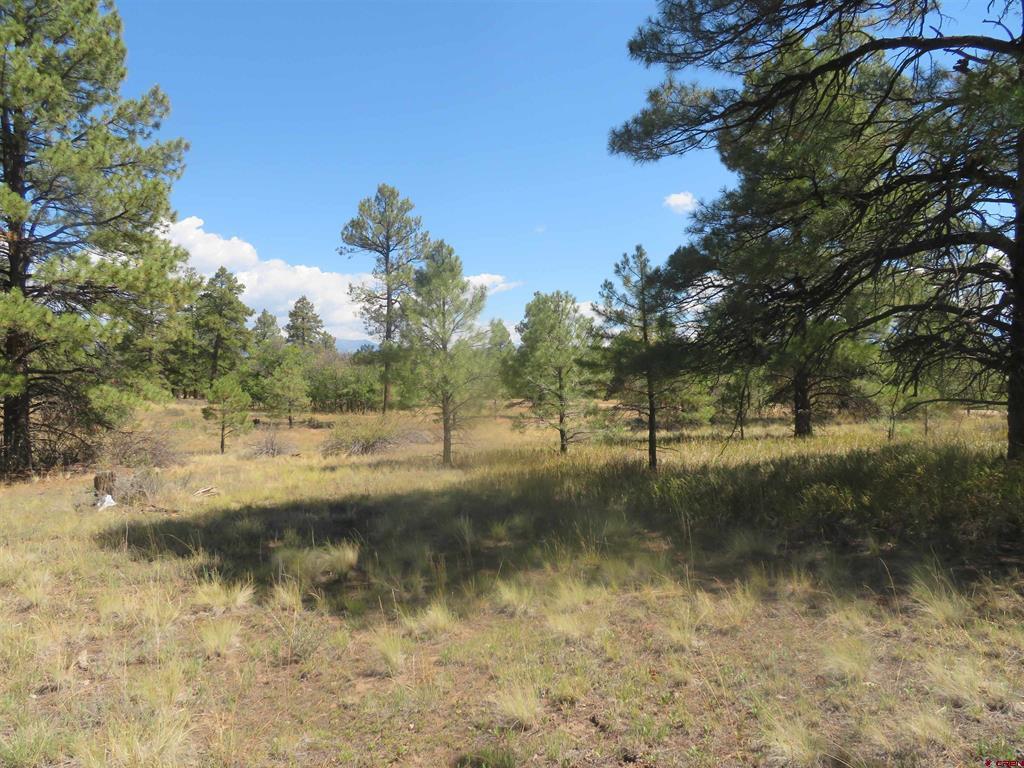 100 N Pinescent Court