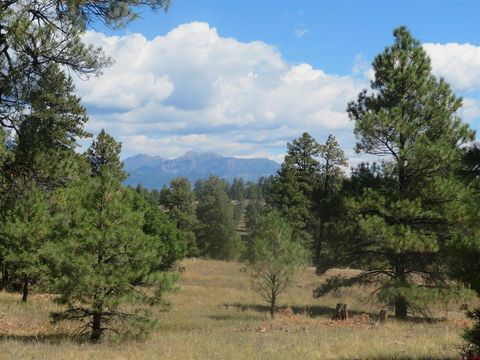 100 N Pinescent Court Pagosa Springs CO 81147