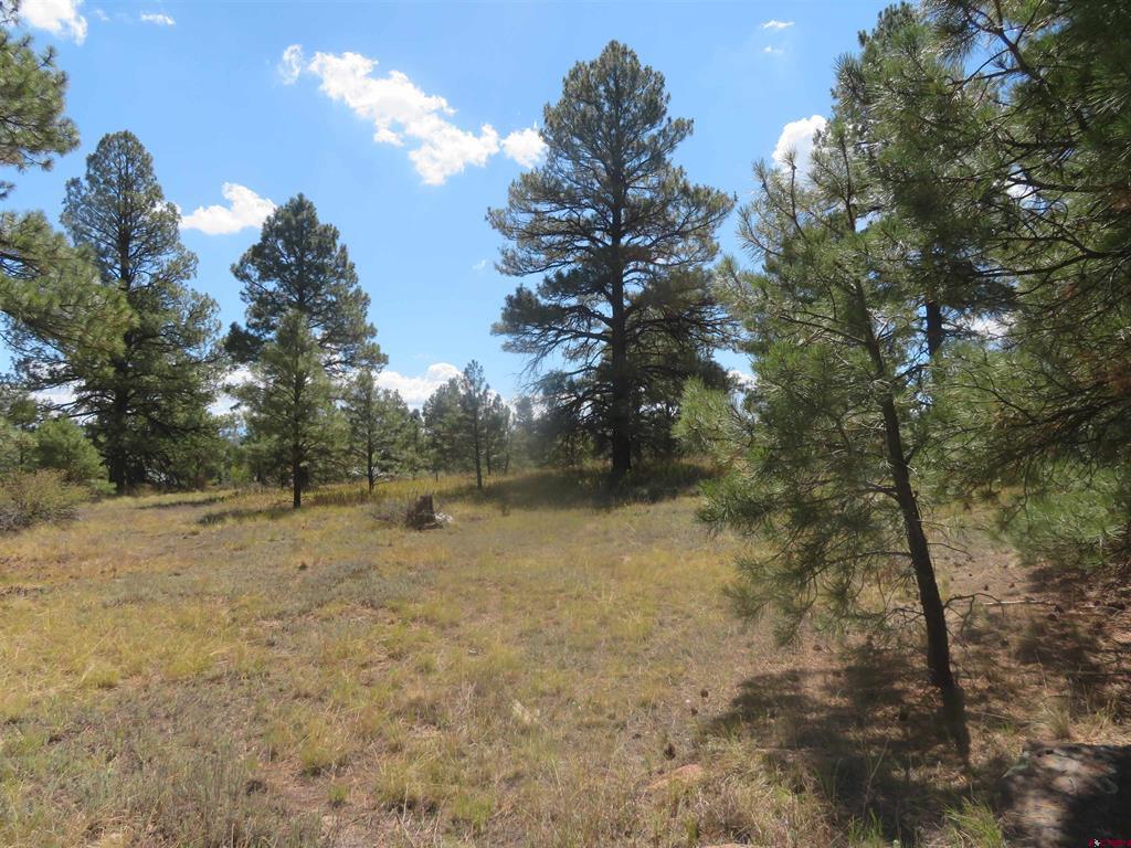 100 N Pinescent Court