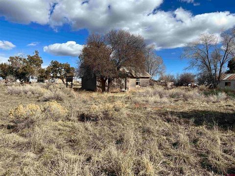 51654 Highway 491 Cahone CO 81320