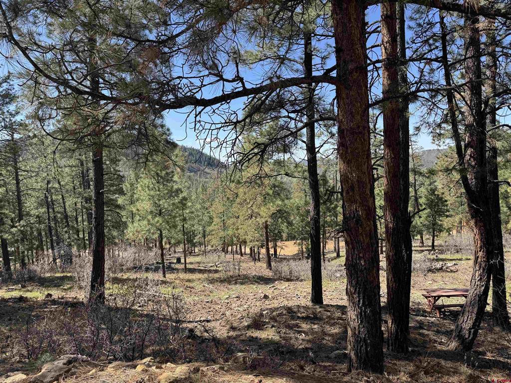 1142 Deer Ridge Drive