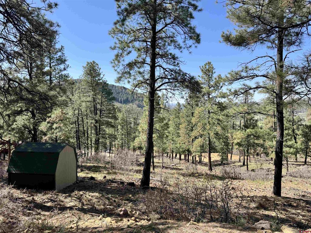 1142 Deer Ridge Drive